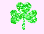 shamrock