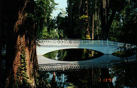 The Long bridge & reflection