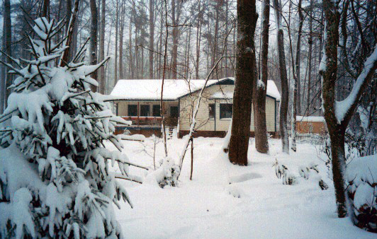 The freak snow of January 2000