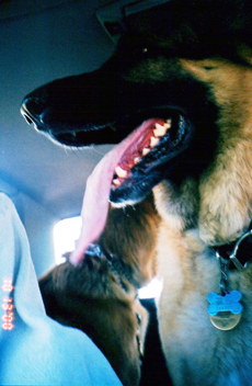 Lucy and Cody in the car