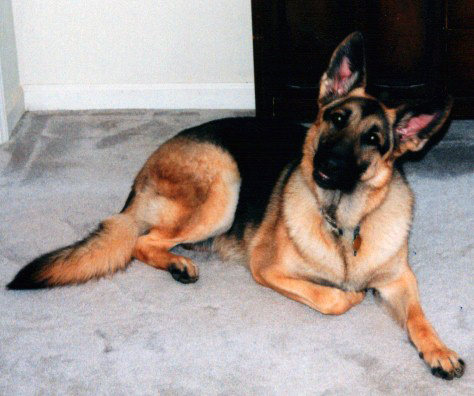 Lucy
