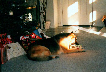 Present