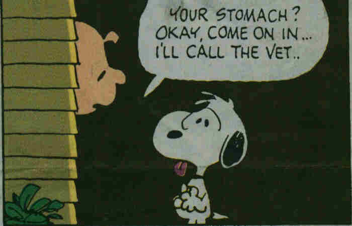 snoopy feels sick