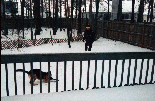 playing in a rare NC snow