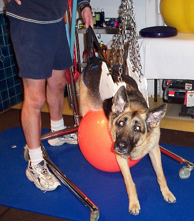Lucy in the Hoist at SOL