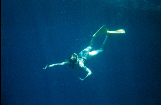 Exploring the reefs off of Keahou Kona 