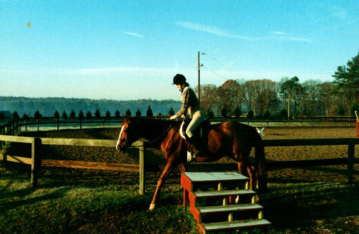 MacNairs Country Acres outside of Raleigh 